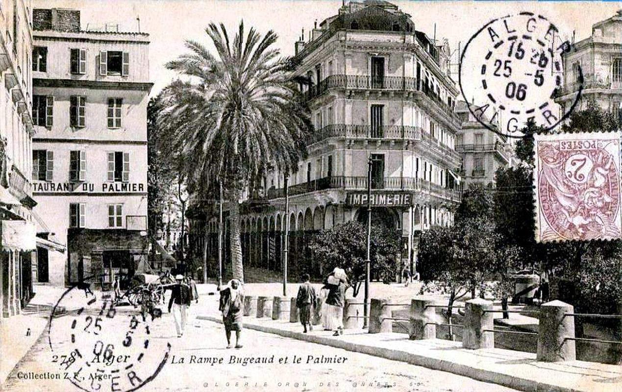 Alger - Rampe Bugeaud et Palmier - 1906.jpg